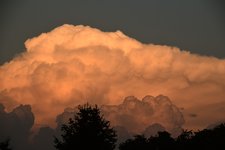 DSC_0014.JPG