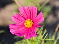 DSC_0013-EDIT.jpg