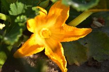 DSC_0012.JPG