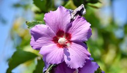 DSC_0027-EDIT.jpg
