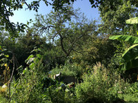 IMG_6977.JPG