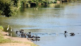 DSC_0116-EDIT.jpg