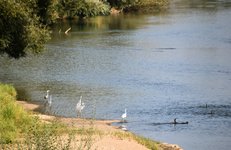 DSC_0010.JPG