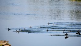 DSC_0064-EDIT.jpg