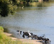 DSC_0100.JPG