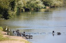 DSC_0116.JPG