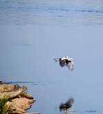 DSC_0052-EDIT.jpg