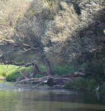 DSC_0039.JPG