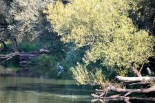 DSC_0142-EDIT.jpg