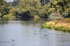 DSC_0130.JPG