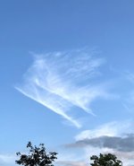 IMG_1405.jpg