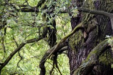 DSC_0022-EDIT.jpg