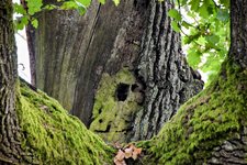 DSC_0004-EDIT.jpg