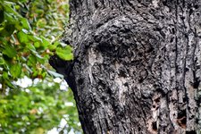 DSC_0026-EDIT.jpg