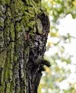 DSC_0049-EDIT.jpg