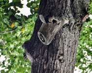 DSC_0077-EDIT.jpg