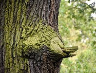 DSC_0012-EDIT.jpg