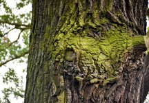 DSC_0042-EDIT.jpg
