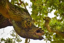 DSC_0035-EDIT.jpg
