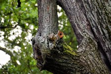 DSC_0080-EDIT.jpg