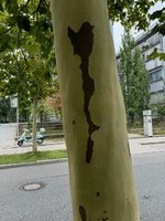 klein_ - 16 (14).jpeg