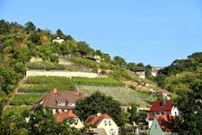 DSC_0372-EDIT.jpg