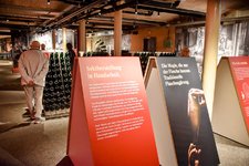 DSC_0261-EDIT.jpg