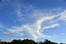 DSC_0392.JPG