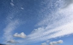 DSC_0012.JPG