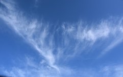 DSC_0359.JPG