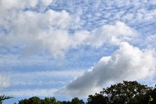 DSC_0023.JPG