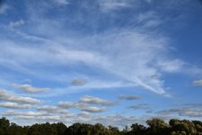 DSC_0384.JPG