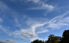 DSC_0363.JPG