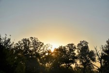 DSC_0020-EDIT.jpg