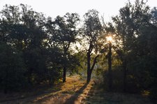 DSC_0027.JPG