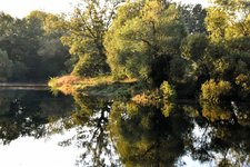 DSC_0039-EDIT.jpg