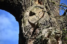 DSC_0063.JPG
