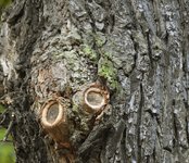 DSC_0316.JPG