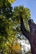 DSC_0303-EDIT.jpg