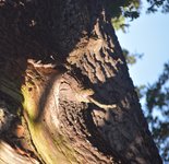 DSC_0184.JPG