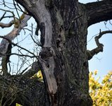 DSC_0186.JPG