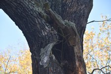 DSC_0189.JPG