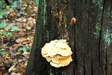 DSC_0216.JPG