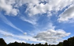 DSC_0011.JPG