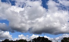 DSC_0020.JPG