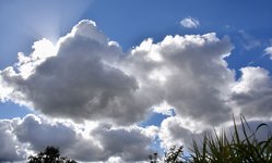 DSC_0018.JPG