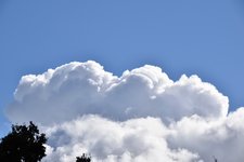 DSC_0030.JPG