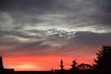 DSC_0003.JPG