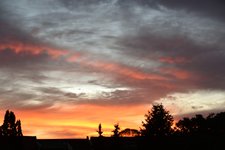 DSC_0014 (1).JPG