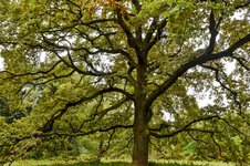 DSC_0043-EDIT.jpg